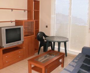 Living room of Study to rent in Vícar  with Air Conditioner, Storage room and Furnished