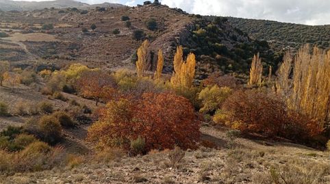 Foto 4 von Grundstücke zum Verkauf in Calle Diseminados, 261, Nerpio, Albacete
