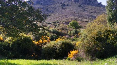 Foto 2 von Grundstücke zum Verkauf in Calle Diseminados, 261, Nerpio, Albacete