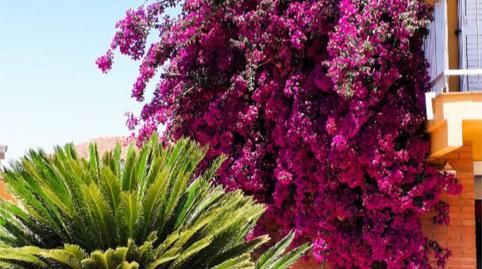 Foto 2 de Casa o xalet en venda a Avinguda Riells, 104, Port - La Cota - Puig Sec, Girona