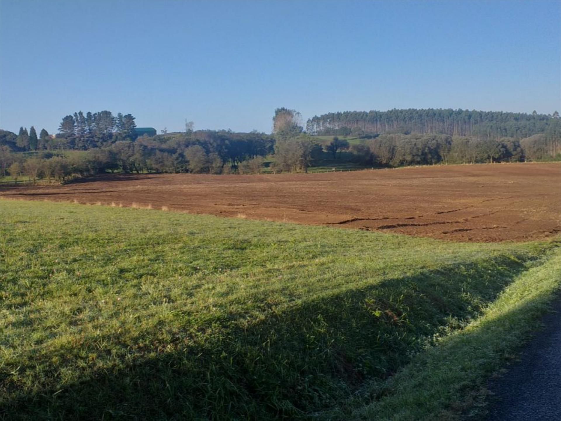Land for sale in Mesía
