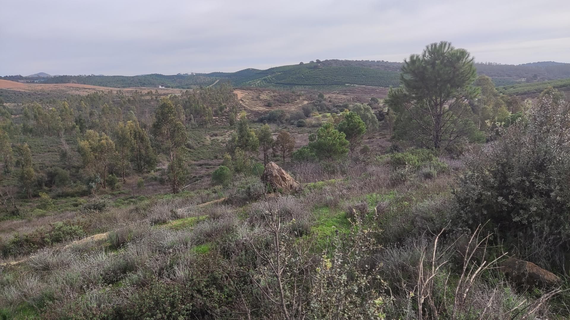 Non-constructible Land for sale in Zalamea la Real