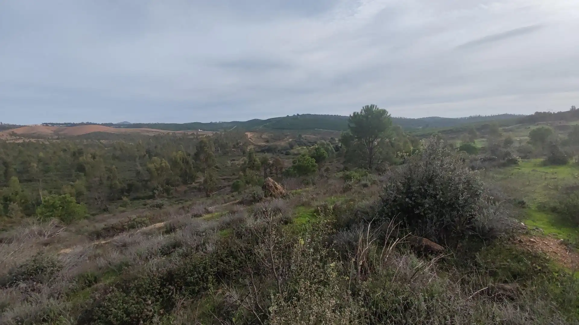 Non-constructible Land for sale in Zalamea la Real