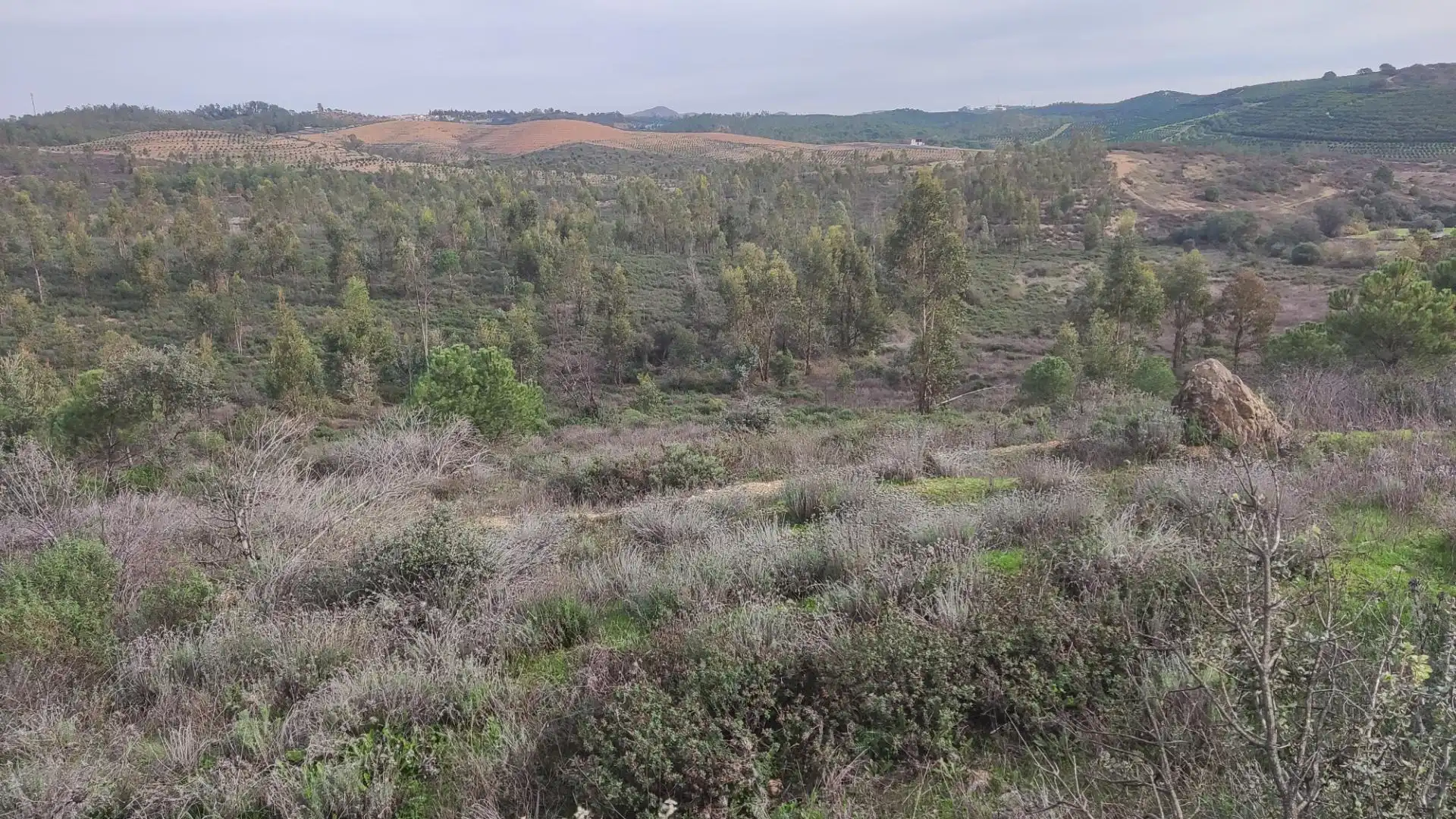 Non-constructible Land for sale in Zalamea la Real