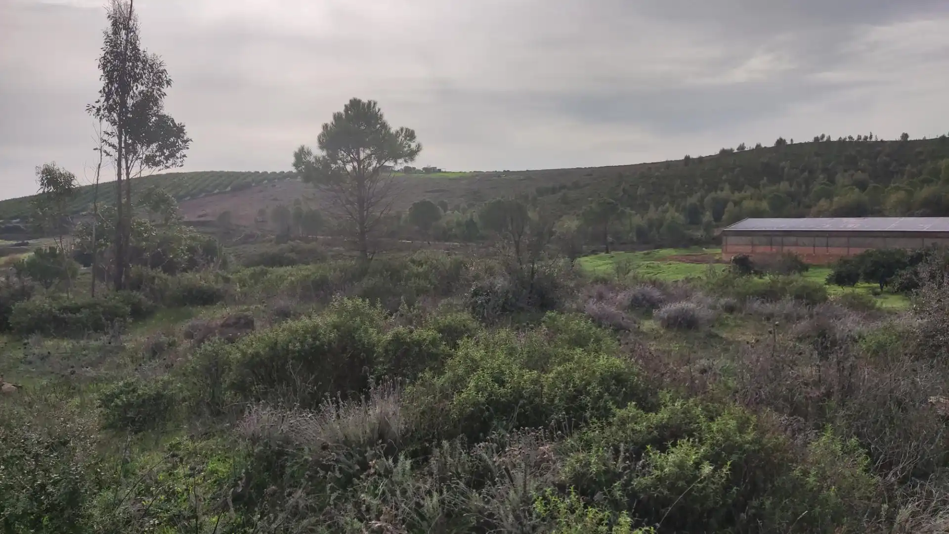 Non-constructible Land for sale in Zalamea la Real