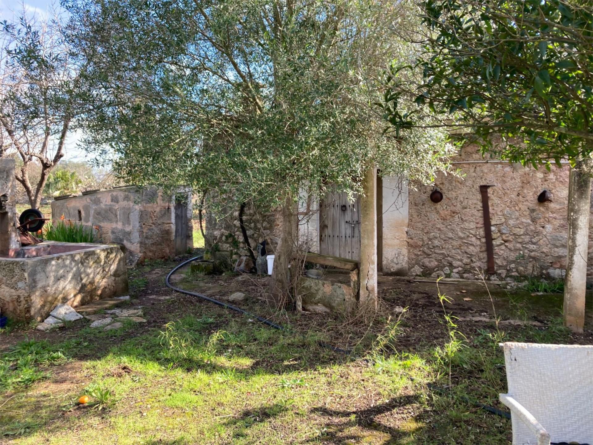 Constructible Land for sale in Pollença