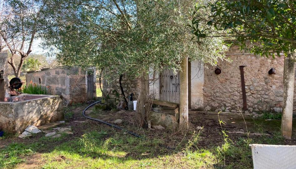 Terreny en venda a Camí de Can Canaveret, 6, Pollença Poble, Illes Balears - imatge 1 Foto 1 de Terreny en venda a Camí de Can Canaveret, 6, Pollença Poble, Illes Balears