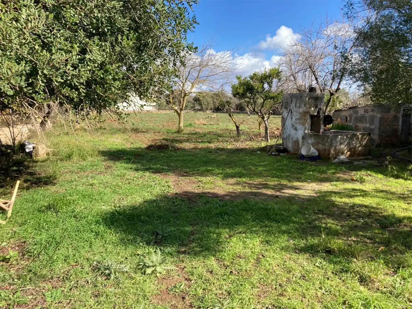 Land for sale in Pollença