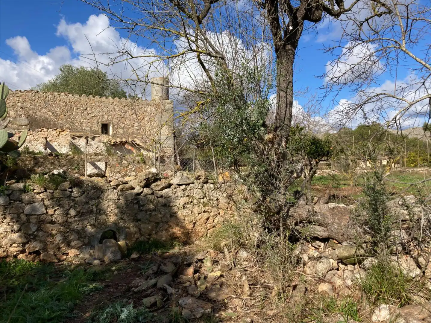 Land for sale in Pollença