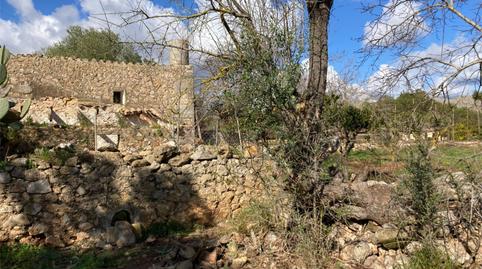 Terreny en venda a Camí de Can Canaveret, 6, Pollença Poble, Illes Balears - imatge 3 Foto 3 de Terreny en venda a Camí de Can Canaveret, 6, Pollença Poble, Illes Balears