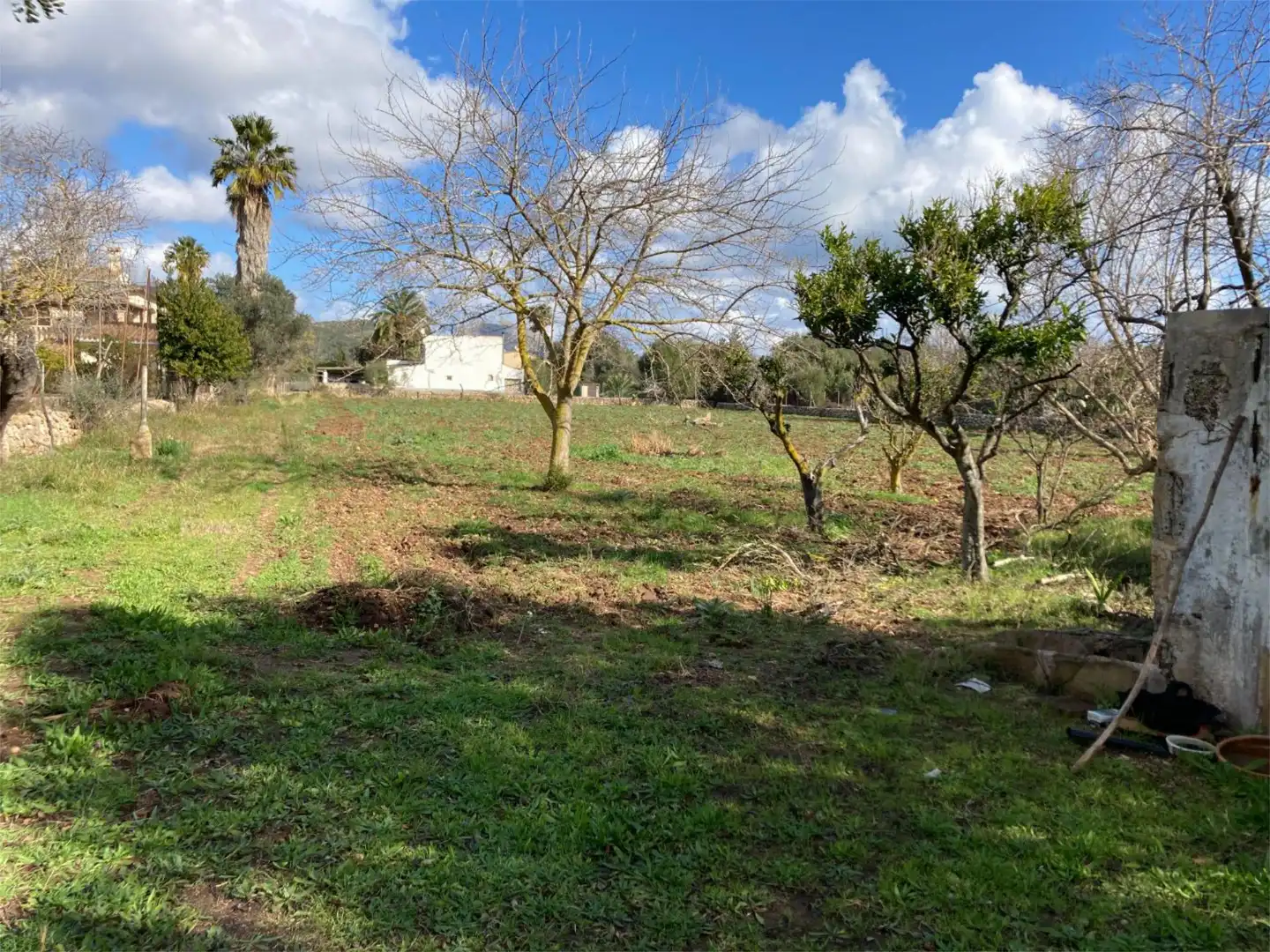 Land for sale in Pollença
