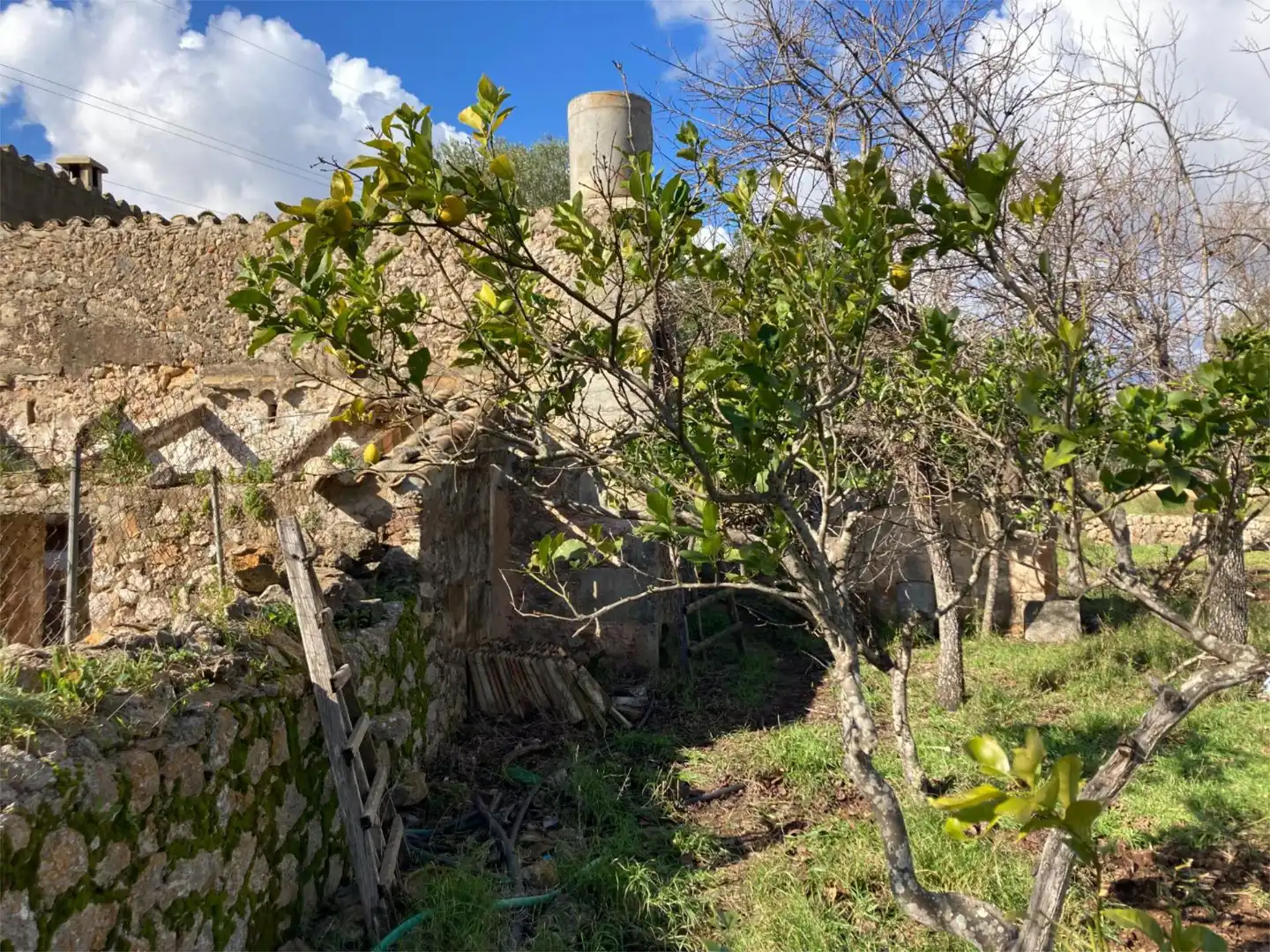 Land for sale in Pollença