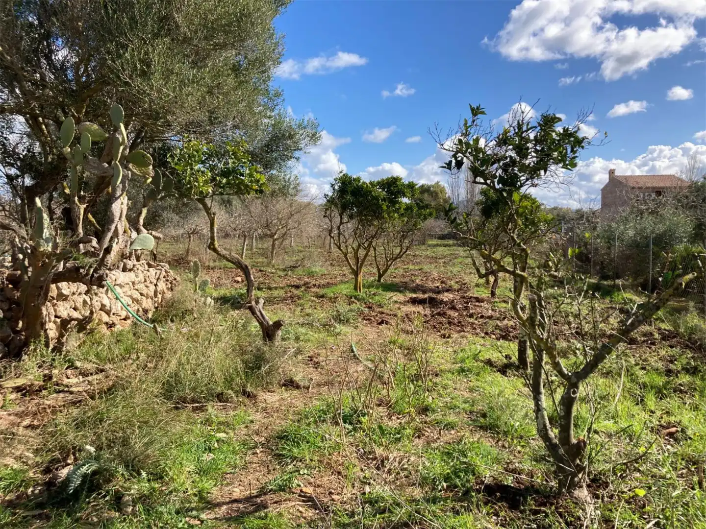 Land for sale in Pollença
