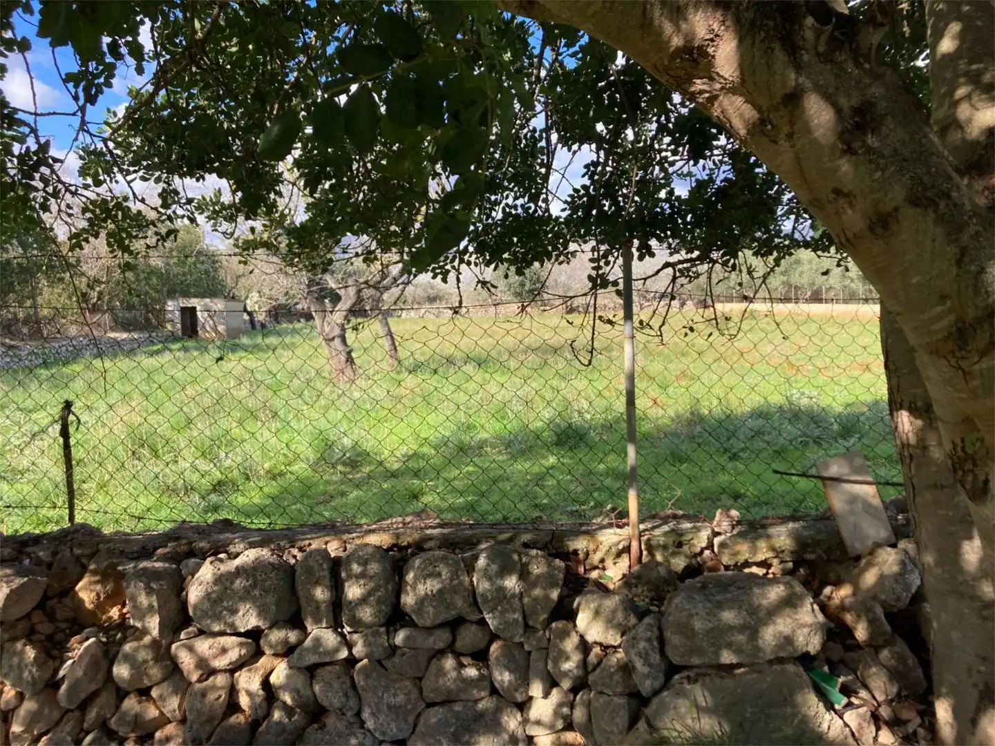 Land for sale in Pollença
