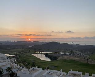 Vista exterior de Àtic en venda en Pulpí amb Aire condicionat, Terrassa i Piscina