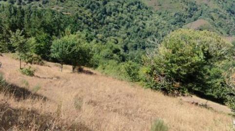 Finca rústica en venda a Rúa Da Ponte, 1, Navia de Suarna, Lugo - imatge 2 Foto 2 de Finca rústica en venda a Rúa Da Ponte, 1, Navia de Suarna, Lugo