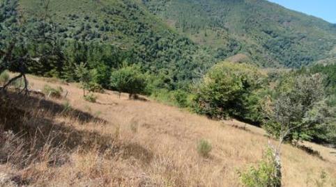 Finca rústica en venda a Rúa Da Ponte, 1, Navia de Suarna, Lugo - imatge 3 Foto 3 de Finca rústica en venda a Rúa Da Ponte, 1, Navia de Suarna, Lugo