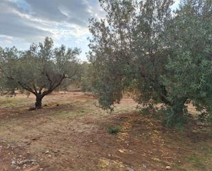 Finca rústica en venda en Vilamarxant