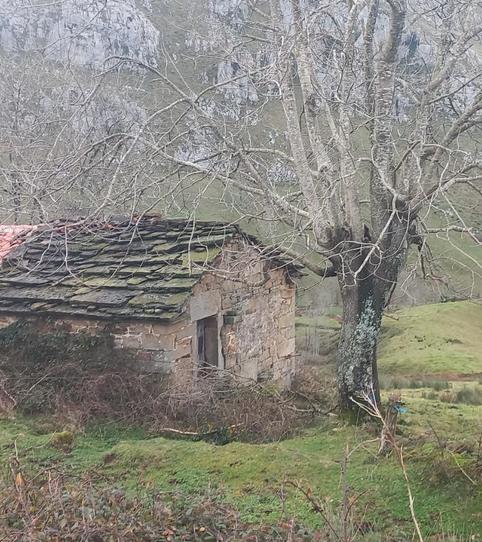 Foto 2 von Wohnung zum Verkauf in Barrio Noja, 1035, Miera, Cantabria