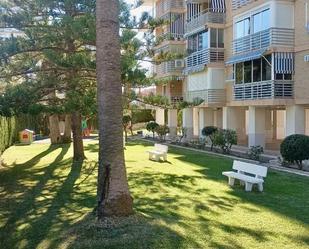 Pis de lloguer a Avinguda de la Costa Blanca, 141, Playa de San Juan