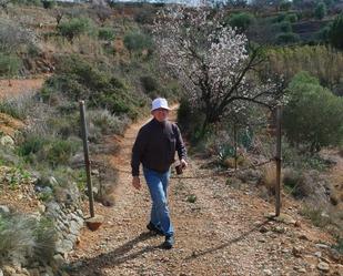 Außenansicht von Country house zum verkauf in La Bisbal del Penedès mit Privatgarten