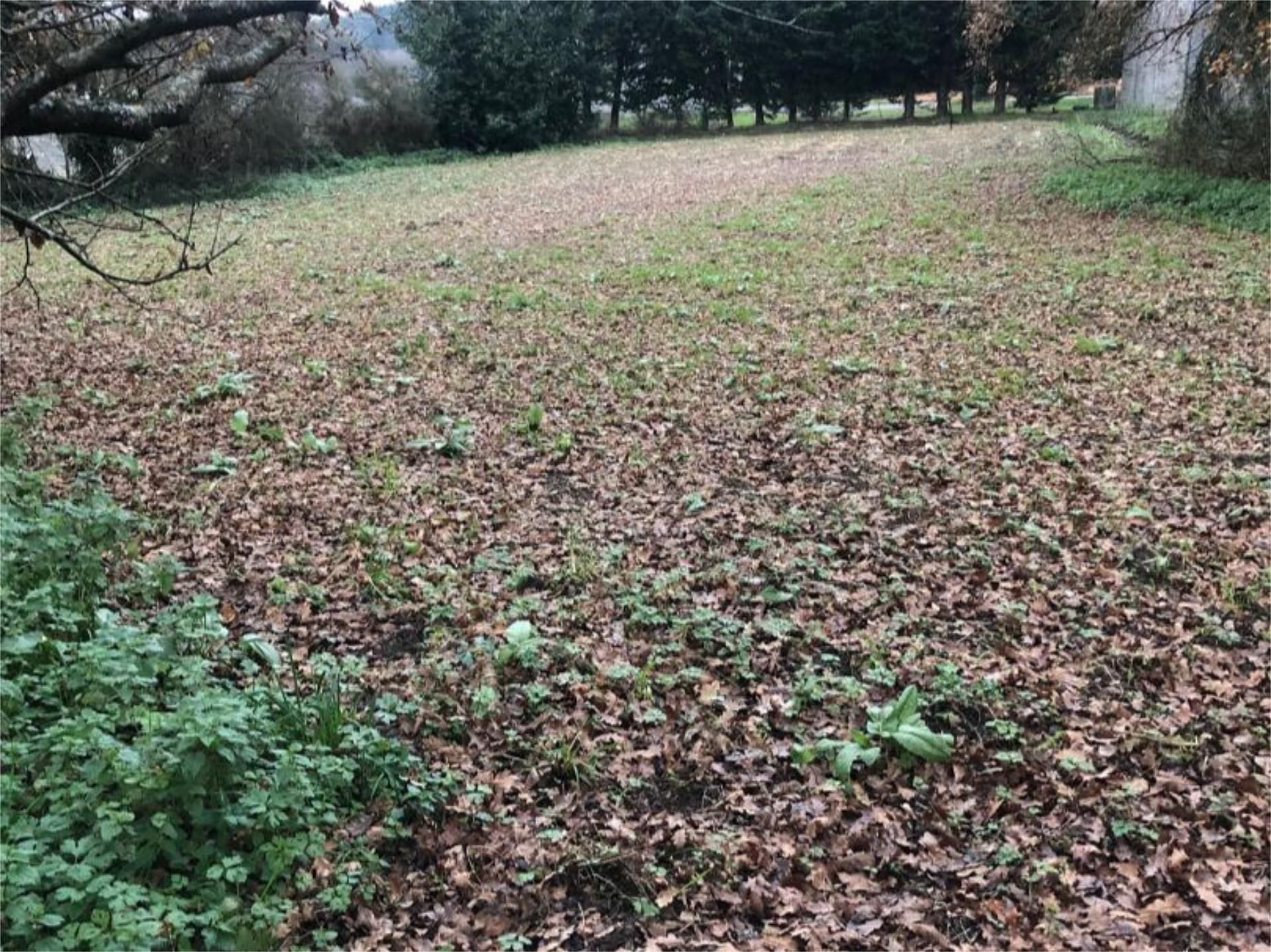 Grundstücke zum verkauf in Castro de Rei