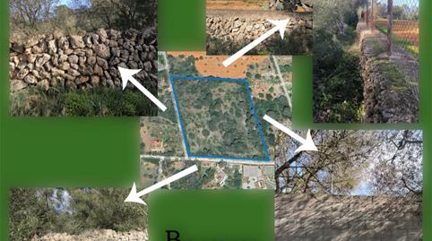 Land for sale in Carretera Sa Punta, 10, Sa Casa Blanca, Illes Balears - image 5 Photo 5 of Land for sale in Carretera Sa Punta, 10, Sa Casa Blanca, Illes Balears
