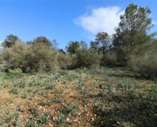 Constructible Land for sale in  Palma de Mallorca