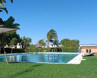 Swimming pool of Single-family semi-detached for sale in Málaga Capital