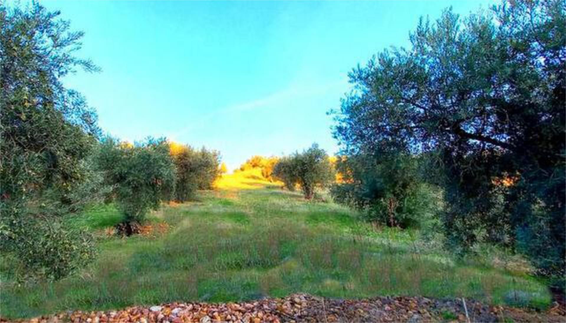 Casa o chalet en venta en Torrecilla de la Jara Casa o chalet en venta en Torrecilla de la Jara