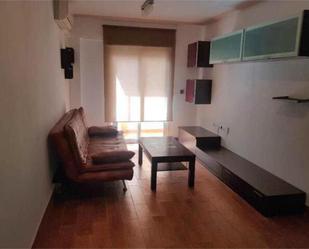 Living room of Flat to rent in Torrevieja  with Terrace, Furnished and Pets allowed