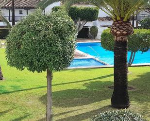 Piscina de Pis de lloguer en Fuengirola amb Aire condicionat, Terrassa i Piscina