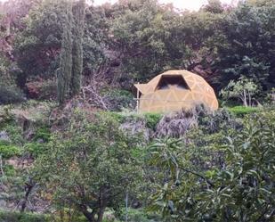 Jardí de Finca rústica en venda en Nerja