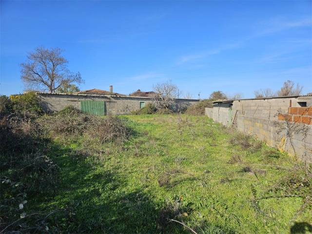 Terreno en Venta en Calle la Cruz, 0 en Carcaboso