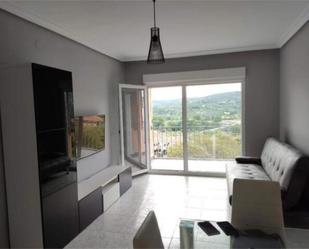 Living room of Flat for sale in Plasencia  with Heating, Terrace and Furnished