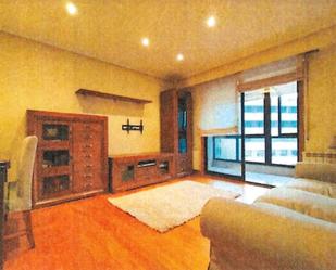 Living room of Flat for sale in Ourense Capital   with Heating, Parquet flooring and Terrace