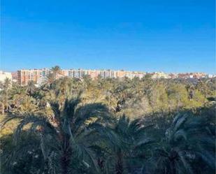 Exterior view of Flat to rent in Elche / Elx