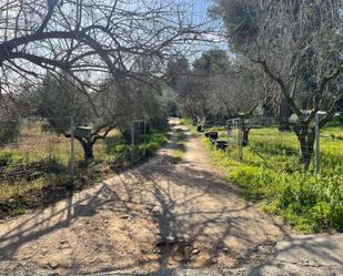 Finca rústica en venda en Cubelles