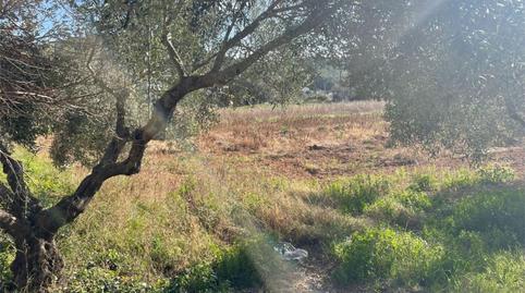 Photo 2 of Flat for sale in Urbanització Les Estoreres, 8, Mas Trader - Corral d'En Tort - Corral d'En Cona, Barcelona