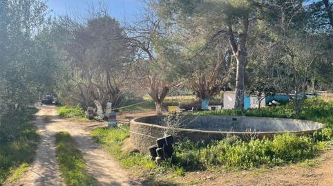 Photo 4 of Flat for sale in Urbanització Les Estoreres, 8, Mas Trader - Corral d'En Tort - Corral d'En Cona, Barcelona