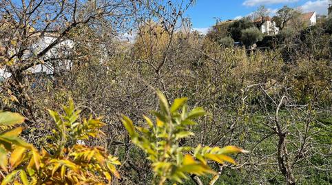 Foto 3 de Casa o xalet en venda a Calle Castillejo, 27, Cádiar, Granada