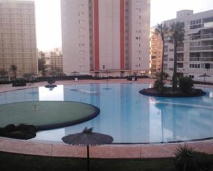 Piscina de Pis per a compartir en Benidorm amb Aire condicionat, Terrassa i Piscina