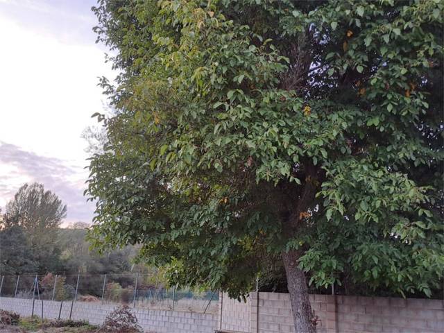 Terreno en Venta en Calle Real, 183 en Cuadros