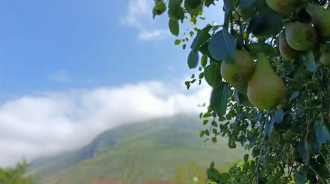 Foto 3 de Casa o xalet en venda a Calle Lledias, 45a, Posada - Barro, Asturias