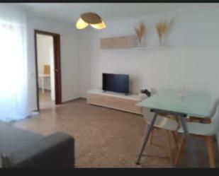 Living room of Flat to share in San Vicente del Raspeig / Sant Vicent del Raspeig  with Furnished, Oven and Washing machine