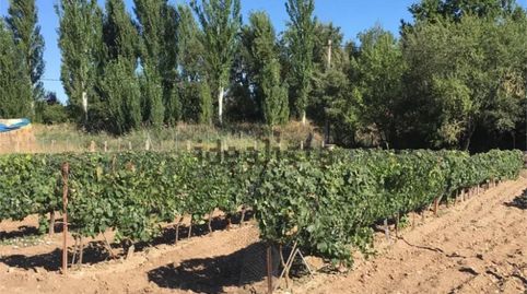 Foto 5 de Casa o chalet en venta en Vial Camino, 50, Tudela de Duero, Valladolid