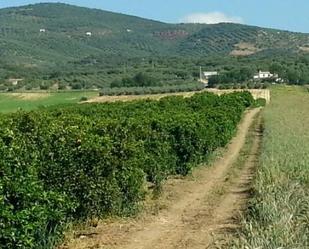 Finca rústica en venda en Peñaflor amb Aire condicionat, Calefacció i Jardí privat