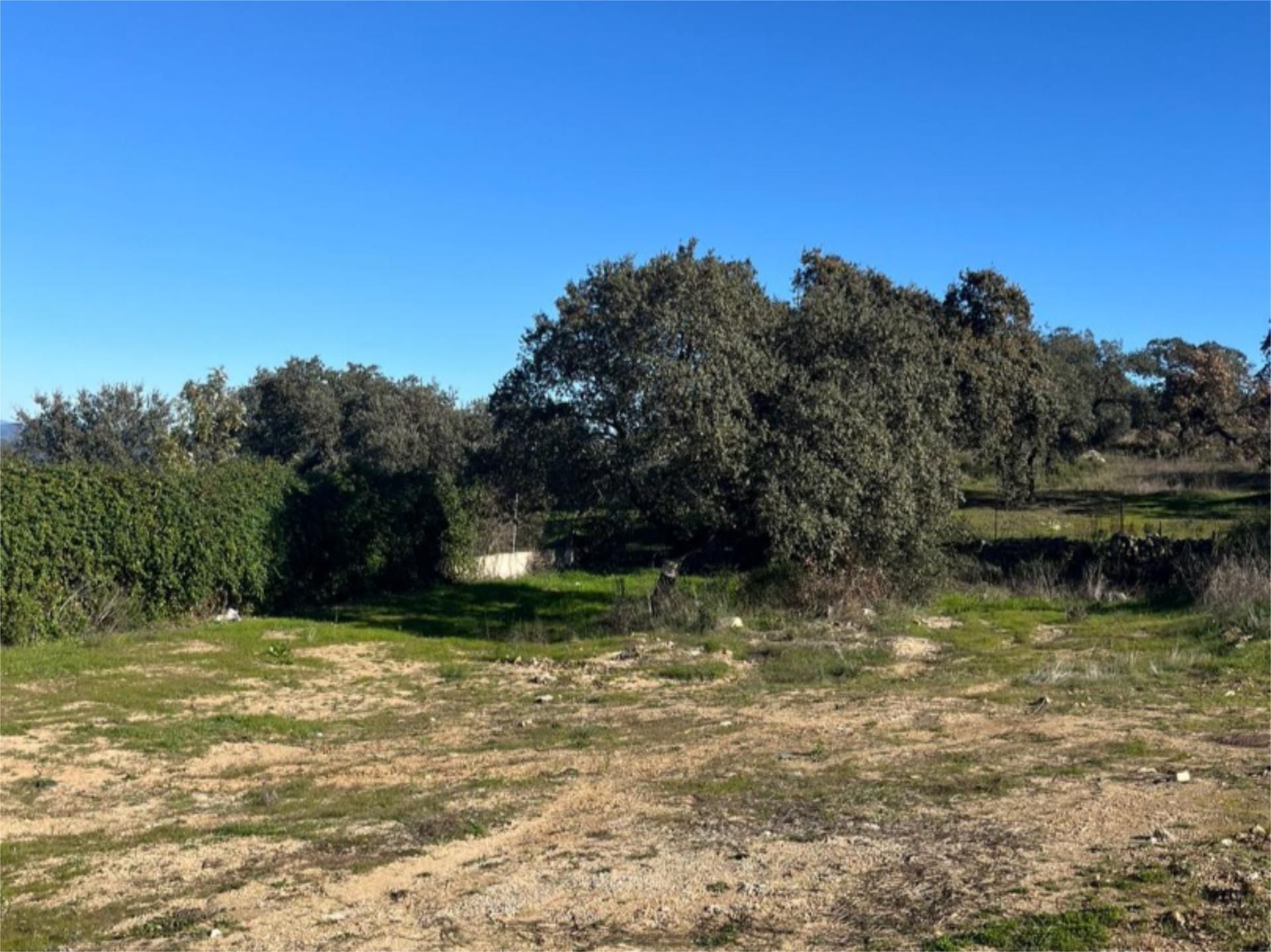 Constructible Land for sale in El Castillo de las Guardas