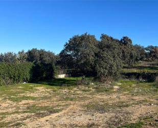 Bebaubares Gelände zum verkauf in El Castillo de las Guardas