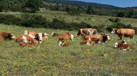 House or chalet for sale in Avenida de la Estación, 6, Gargantilla del Lozoya, Madrid - image 4 Photo 4 of House or chalet for sale in Avenida de la Estación, 6, Gargantilla del Lozoya, Madrid